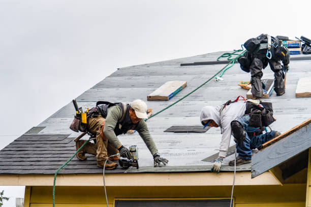 Professional Gutter Installation technician working in Castle Rock, MN